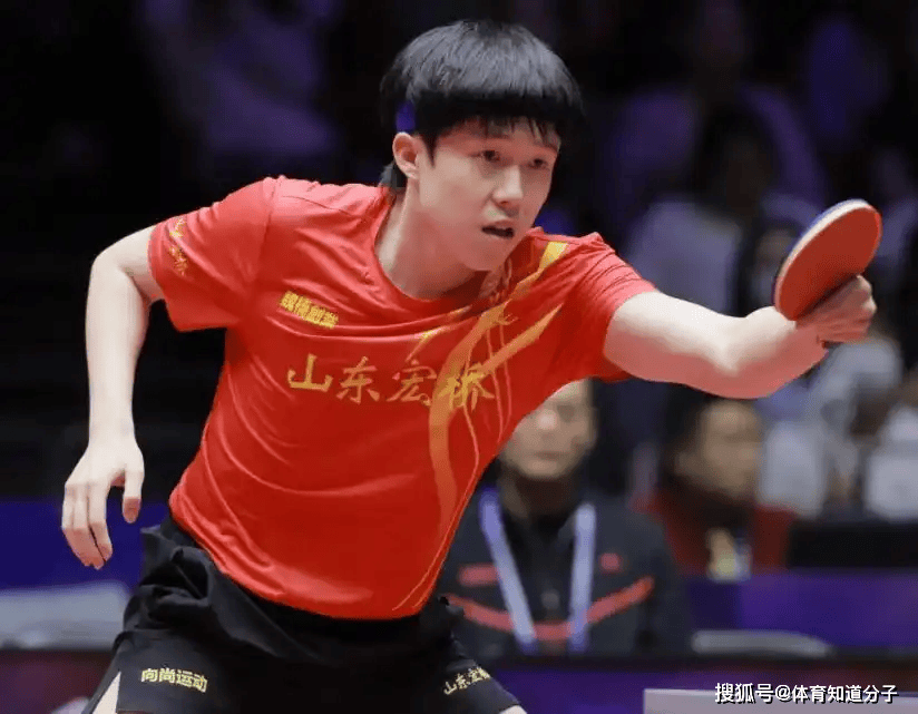 赢的合理 赢的合理